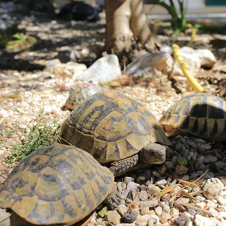 By The Sea Rogoznica, Omis - 2762 Apartmán Lokva Rogoznica